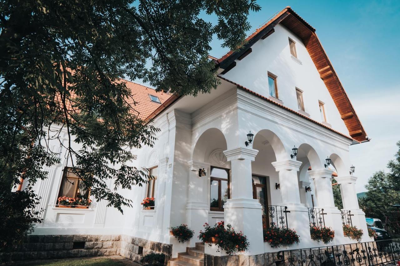 Conacul Secuiesc-Szekelyko Kuria Hotel Coltesti Exterior photo